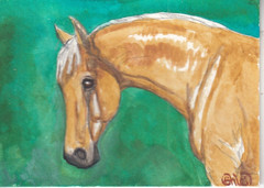 ACEO original Watercolor Art Card HORSE gorgeous golden Half Arab Palomino mare