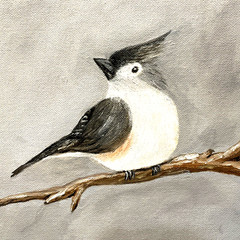 Tufted Titmouse Oil Painting Original 8×10 Canvas Boar Bird Art Signed