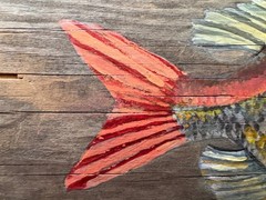 Original Fish Painting on Reclaimed Wood- 7 x 11″