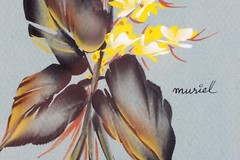 Murial, Two Rose Flowers Original Paintings Signed Muriel Framed Artworks