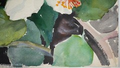 Beautiful Vintage Tropical Floral Painting of Blooming White Hibiscus, Fine!