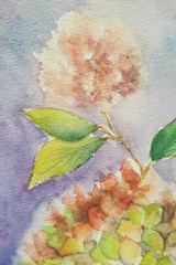 Hydrangea Original Watercolor Painting Flowers Wall Art Hand Made Painted