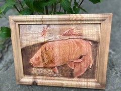 Carpfishing Fisherman Catches Carp Large Wood Carving Multicolor Picture Woodwor