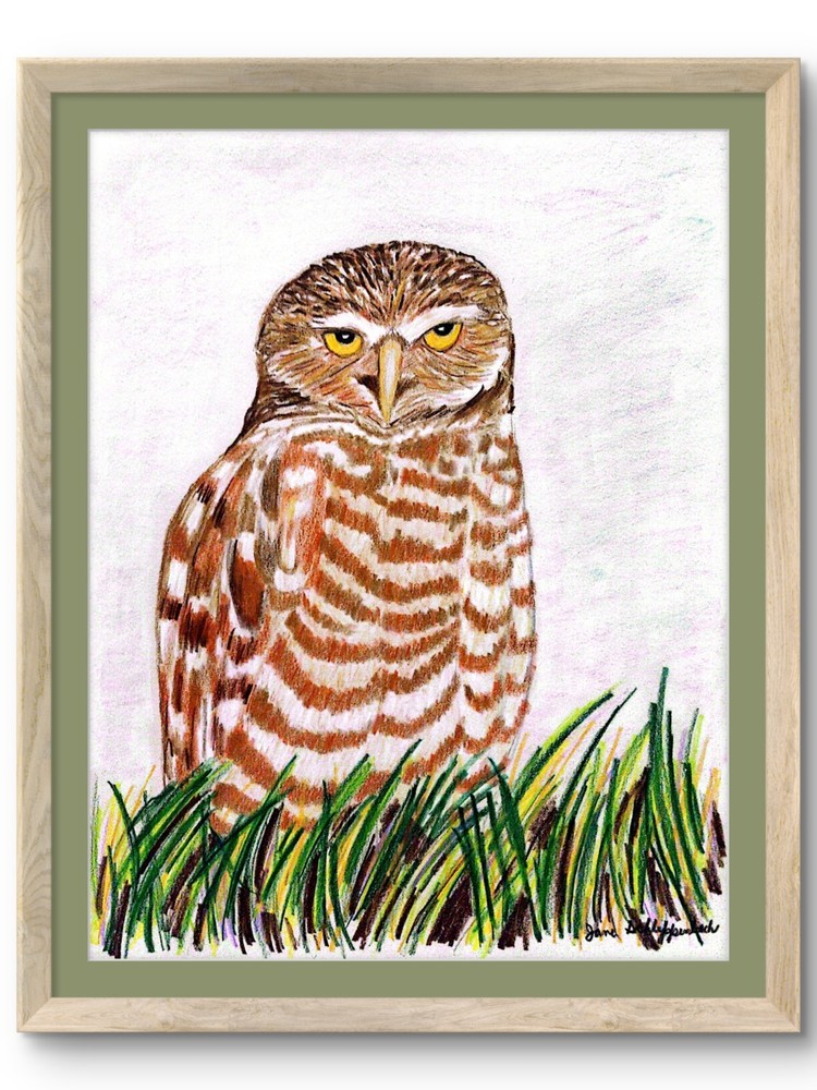 Owl Realistic Prismacolor Modern Original 8.5×11 Paper Wall Art BACH