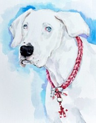 HAND-PAINTED CUSTOM PET PORTRAIT, cat portrait, dog portrait, gift for pet lover