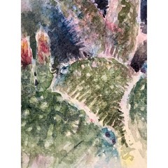 Original Watercolor Painting Prickly Pear desert Cactus plants Signed