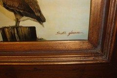 Original framed painting on board Scott gleason American ornithology Pelican