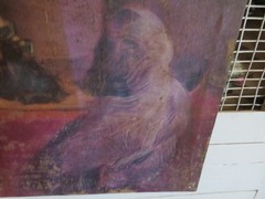 Antique King Cavalier w Bows Cavalier’s Painting 1800’s or earlier Need TLC