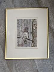 Barbara Churchley Original Pastel Owl Painting Signed Colorado Artist Framed