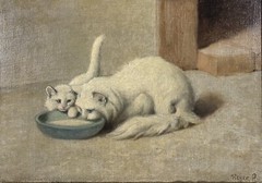 Antique c. 1910 Arthur Heyer Turkish Angora Kitten & Cat Drinking Milk SIGNED