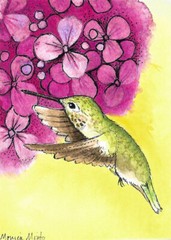 ACEO Limited Edition – Hummingbird & Hydrangea print of Original watercolor