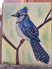 Original oil painting 11 x 14 inches gorgeous colorful blue jay bird