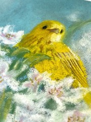 ACEO Original Soft Pastel Lemon Yellow Bird in Flowers ATC – OOAK