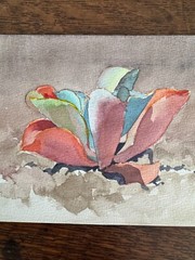 1990s Watercolor Painting Succulent Plant California Artist 6 x 9