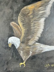 Bald Eagle Original Painting