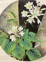 Handmade Chinese Gongbi Painting of Flowers Original Botanical Art No Frame 18in