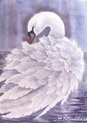 BIRDS SNOWY WHITE SWAN LOVE Original Painting Landscape National Park CA Gift A4