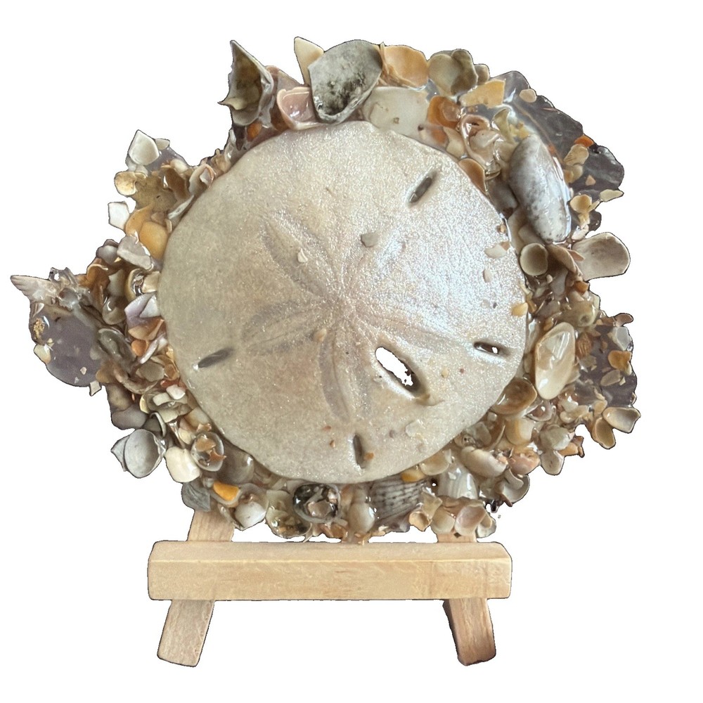 Original Art Mini Sand dollar/Shell Resin #resin Mini-Shell ocean