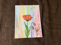 Original watercolor painting by Agne Lithuania unique poppies flowers unframed
