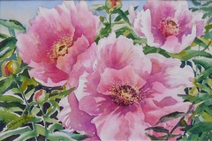 Jeanne Brenneman (American) Watercolor „Peonies“ Orig., Nice Technique, Signed