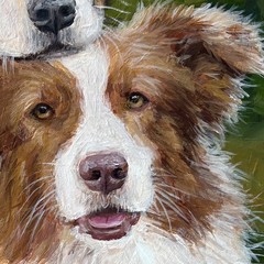 Australian Shepherds Original Acrylic Painting Pet Portrait Animals Dog 12×8 Ⓣ
