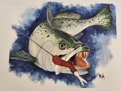 10×8 Trout Watercolor Painting Signed Print , Fishing Outdoors Artwork