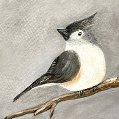 Tufted Titmouse Oil Painting Original 8×10 Canvas Boar Bird Art Signed