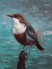 Original oil painting on canvas of the Dipper bird 15×20 cm Wall art