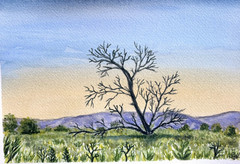 Original watercolor painting 7 X 10″ landscape Artist Signed
