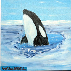 Original 6×6 Orca Killer Whale Art Board Wildlife Painting Signed Blue Wachtel