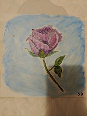 Original painting on canvas board…“Purple Rose“