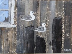 SEAGULL FRIENDS! A 10½“ x 12¼“ Acrylic Painting CYNTHIA HAACK Birds Vintage