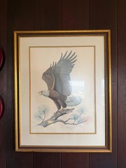 Painting Albert Earl Gilbert “American Bald Eagle”