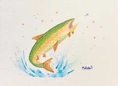 Rainbow Trout ORIGINAL Watercolor Painting Jumping Fish Art Fishing 9×12