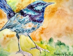 Blue bird art,Original watercolor painting, fairy Wren,nature lover best gift