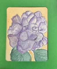 “Those Hydrangeas” ACEO Watercolor By DBossert Features Classic Flower