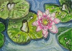 ACEO Original Pink Water Lily Watercolor Painting Art signed by CS Jackson