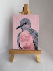 ACEO Spotted Dove Bird Original Hand Painted Acrylic Mini Tiny Artwork Painting