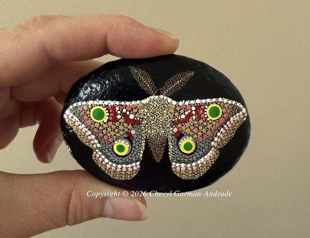 Original Pointillism Dot Painted Stone Whimsical Silk Moth by Cheryl Andrade