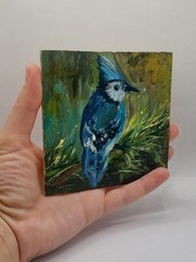 Blue Jay Original Oil Painting Bird Framed Miniature Wall Art Wildlife Nature