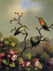 Art Oil painting Martin Johnson Heade – Ruby Throat of North America canvas