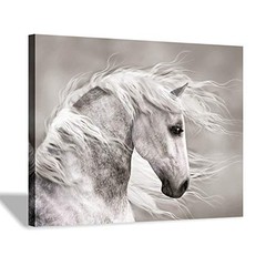 Canvas Horse Wall Art 16×11 Animal Painting White Horse Landscape