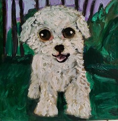 Original bichon frise oil painting on wood panel, signed on the back