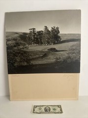 Vintage Original Photograph Landscape San Jose Photo Club 1st Prize Signed 1957