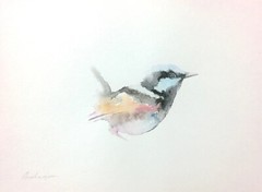 Fairy-wren, Watercolor artwork, Handmade, Original painting on paper