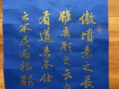 Unframed Chinese calligraphy Part Of 閒居賦Gold Ink Blue Rice Paper2629