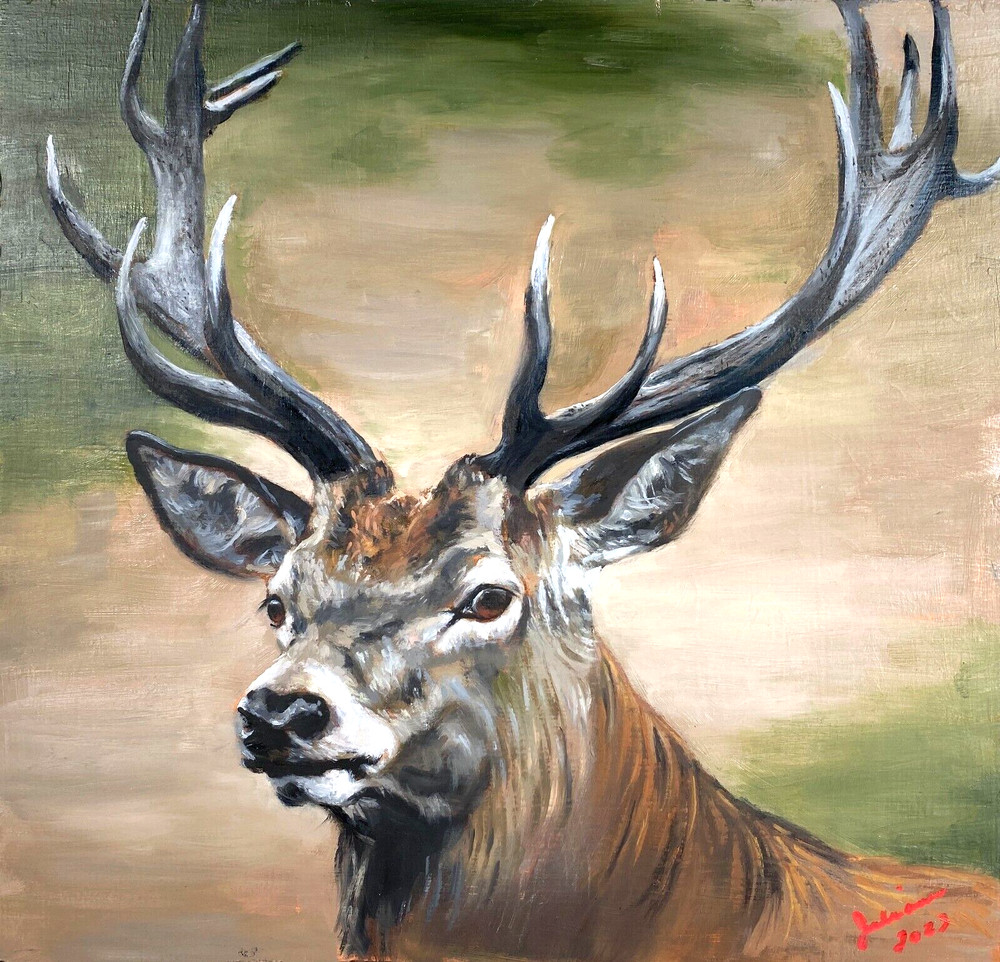 Whitetail Buck ~ Realistic Wildlife Oil Painting ~ 12″X 11″ ~ Signed ~ On Board