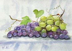 Watercolor Grapes Still Life with Fruit ladybug Botanical Fruit Painting