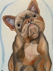 Original oil painting 11 x 14 inch French Bulldog with sassy attitude