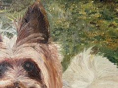 Francis PASQUIER Signed – Yorkshire Terrier Dog in the Meadow – Oil Painting